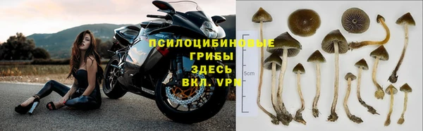 амф Сосновый Бор