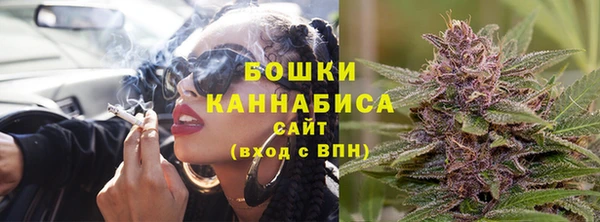 Альфа ПВП Богородск