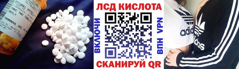 купить  сайты  hydra tor  Лсд 25 экстази ecstasy  Выборг 