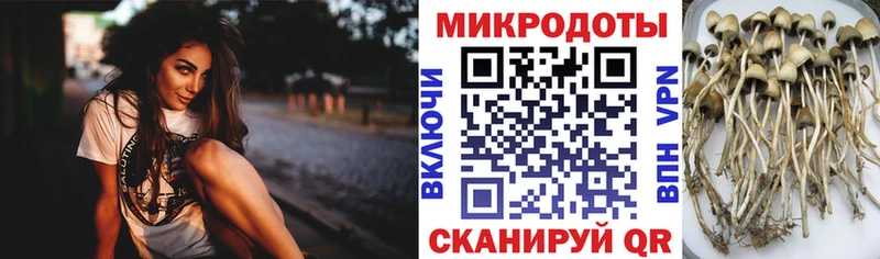 Галлюциногенные грибы мухоморы Выборг